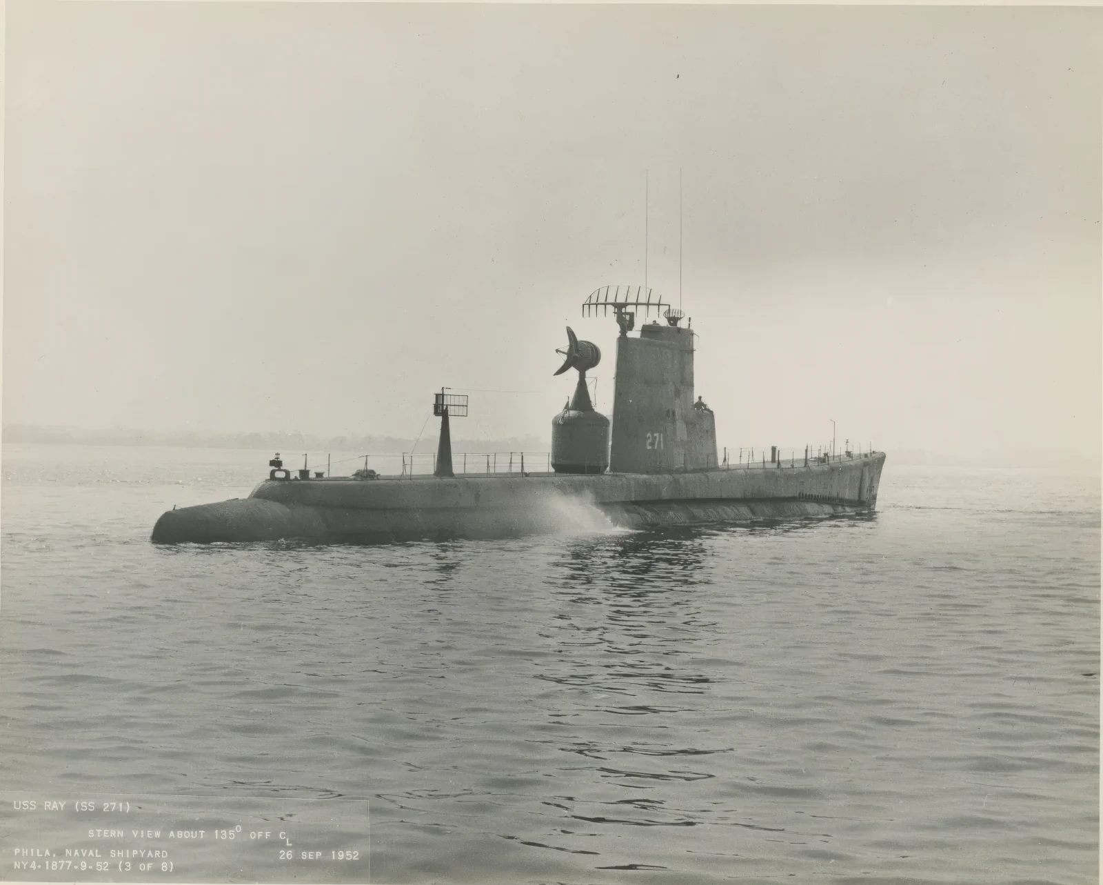 The submarine USS Ray (SS-271)